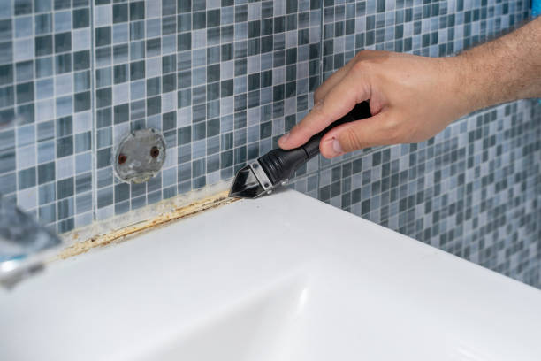 Mold Removal Process in Pacolet, SC