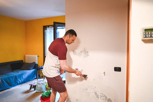 Best Toxic Mold Removal  in Pacolet, SC